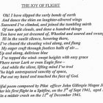 The Joy Of Flight by Officer John Gillespie Magee Jnr